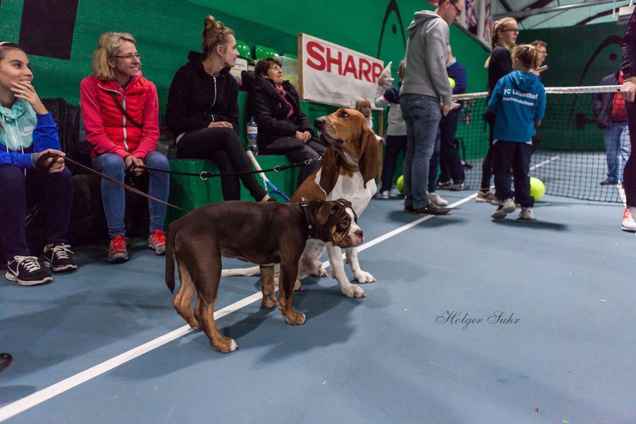 Meet and Greet am 10.12.16 275 - Meet and Greet mit Carina Witthoeft